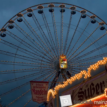2024 Mein Bild - Elke Hickstein: &quot;Hochheimer Markt&quot;